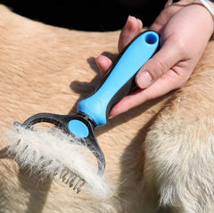 PetCleanâ„?handy pet hair remover
