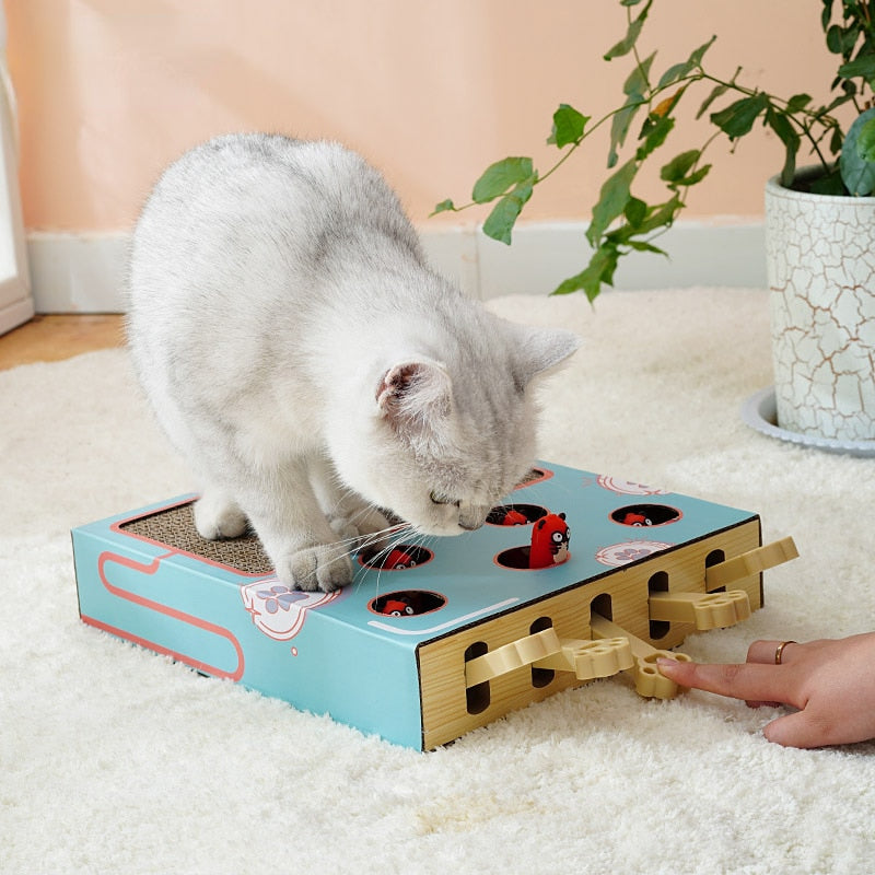 Whack-a-Mole Cat Scratching Board Toy