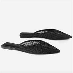 Pointed Toe Mesh Dreaming Flats