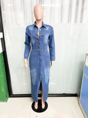 Remember Me Denim Maxi Dress