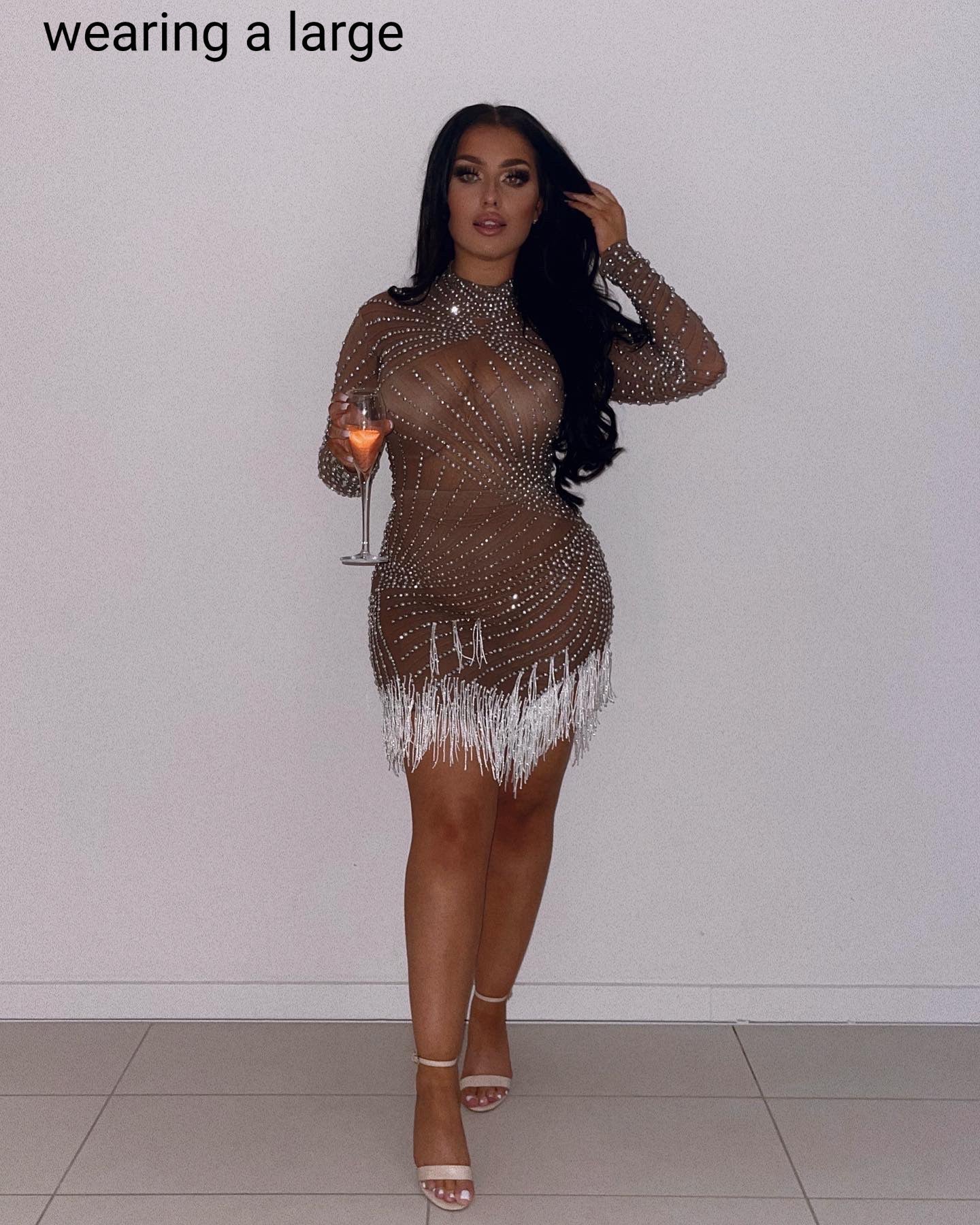 Stoni Pearls Fringe Mesh Dress