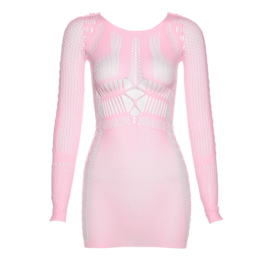 Summer Fling Mesh Mini Dress