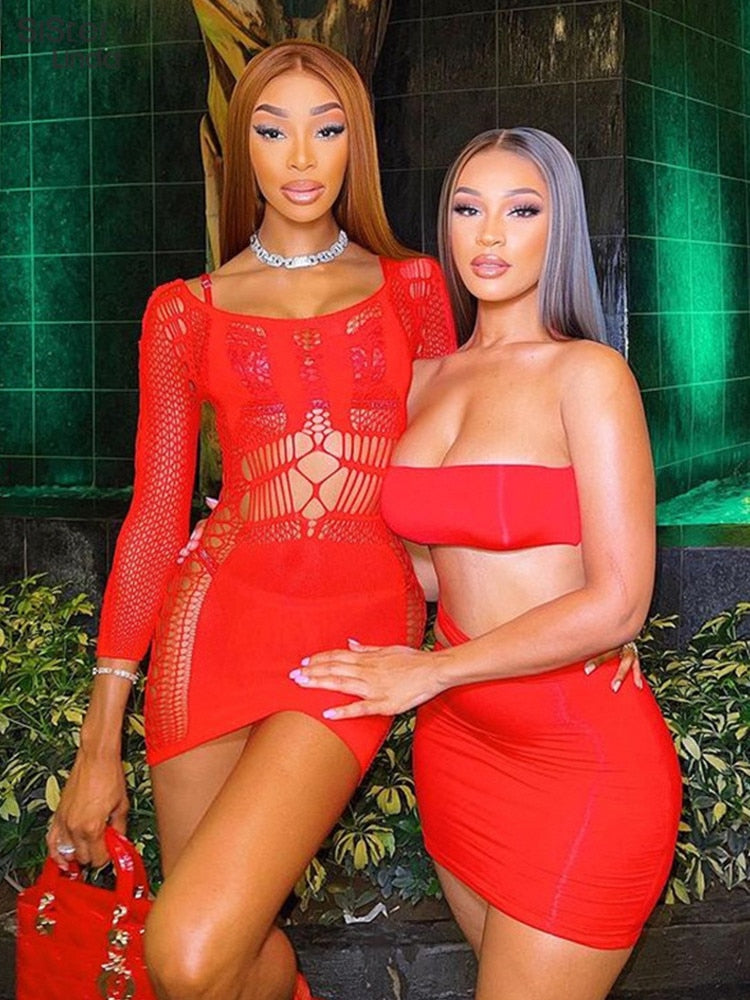 Summer Fling Mesh Mini Dress