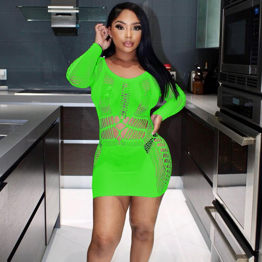 Summer Fling Mesh Mini Dress