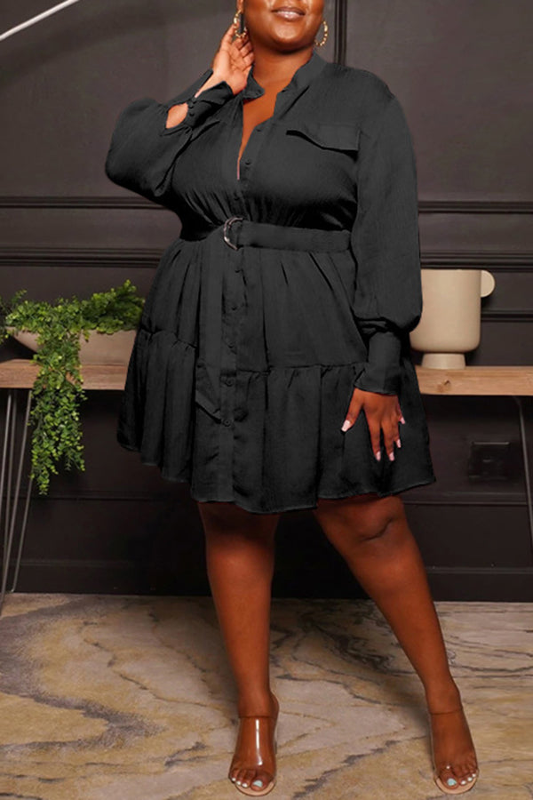Round Neck Single Breasted Blouse Large Long Sleeve Pleated Dress