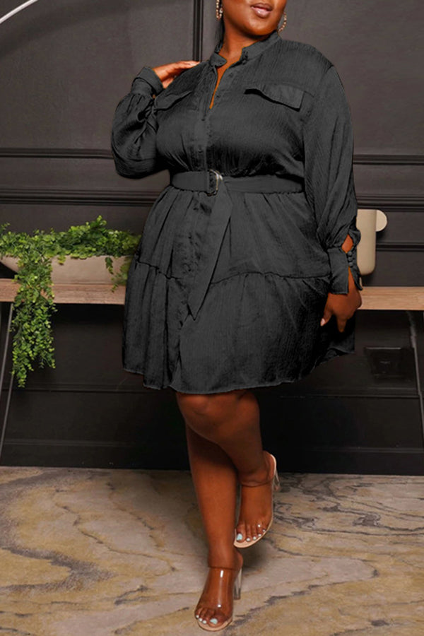 Round Neck Single Breasted Blouse Large Long Sleeve Pleated Dress
