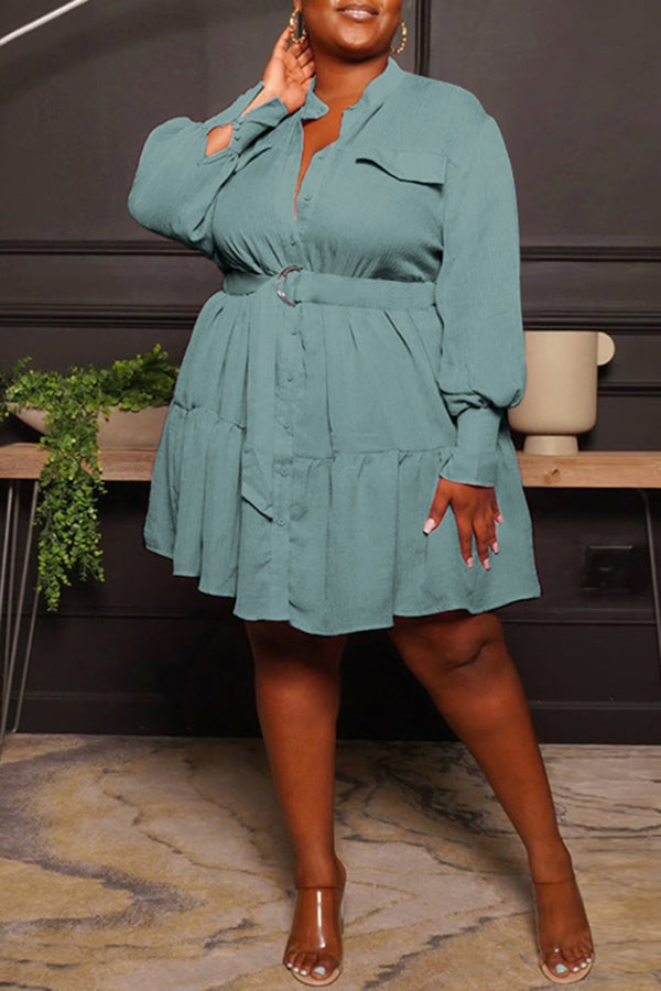 Round Neck Single Breasted Blouse Large Long Sleeve Pleated Dress