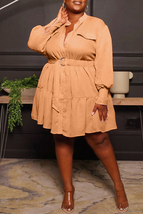 Round Neck Single Breasted Blouse Large Long Sleeve Pleated Dress