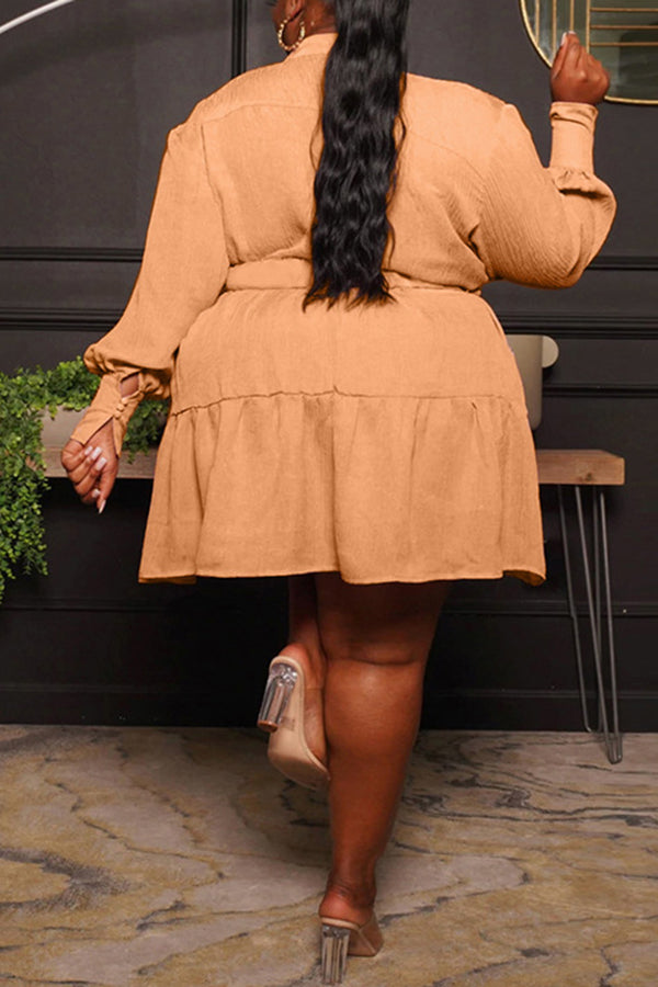 Round Neck Single Breasted Blouse Large Long Sleeve Pleated Dress