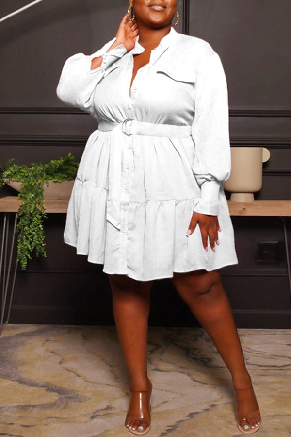 Round Neck Single Breasted Blouse Large Long Sleeve Pleated Dress