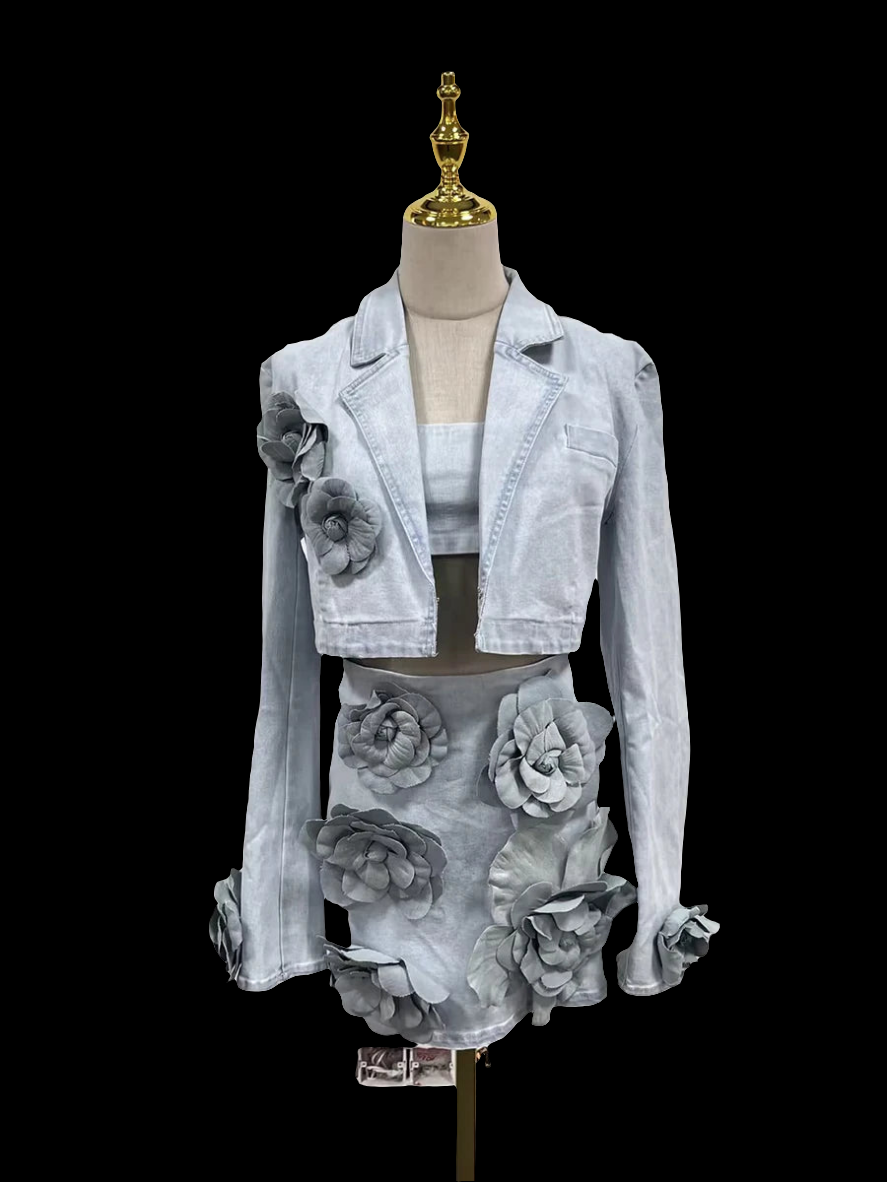 Sofia Denim Mini Skirt Set