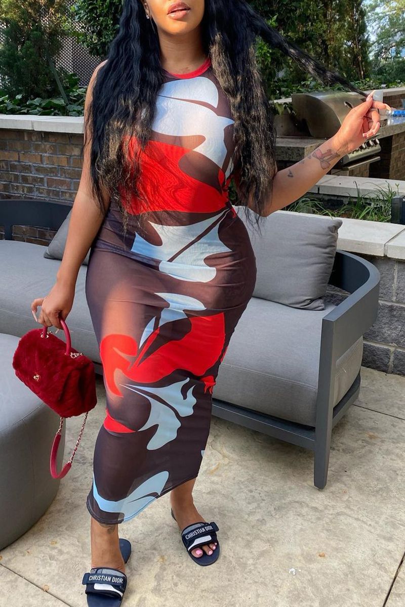 Allover Print Sheer Mesh Bodycon Dress
