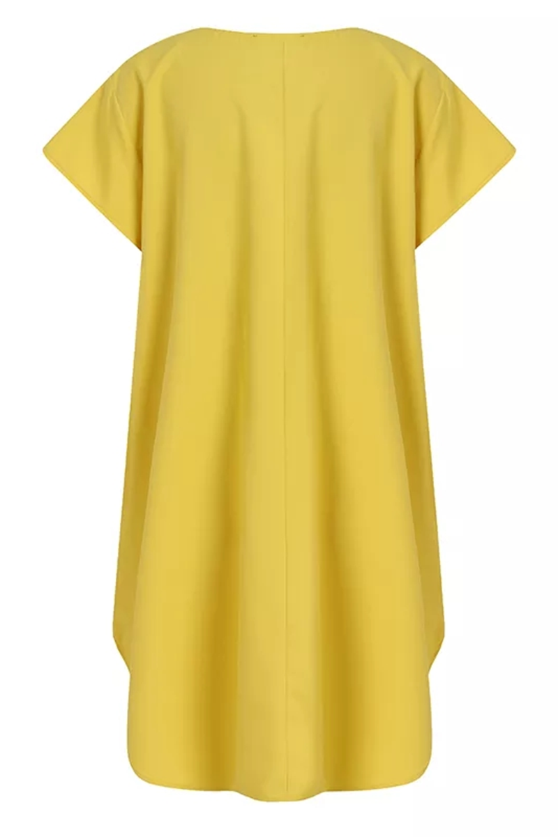 Floral Print Tassel Decor Tie Neck Dress