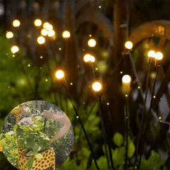 FireflyLightsâ„?| Firefly Solar hail light | 2 + 2 free