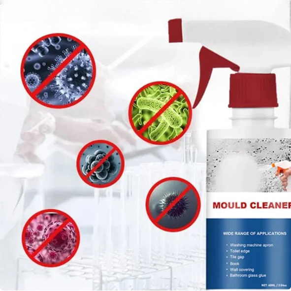 MoldGuardâ„?| Anti-fungal foam - 1+1 FREE