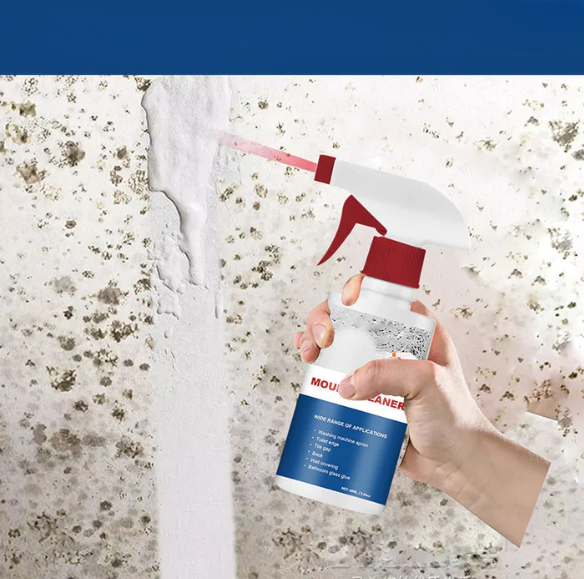 MoldGuardâ„?| Anti-fungal foam - 1+1 FREE