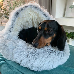 DreamBed | Pet Blanket