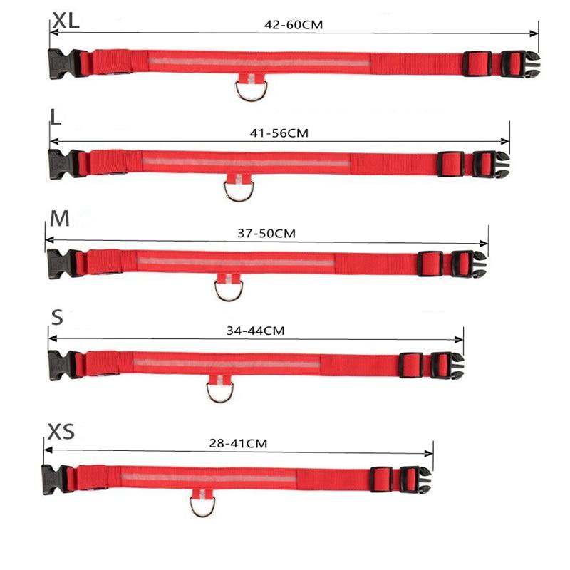DogShineâ„?| LED collars for dogs