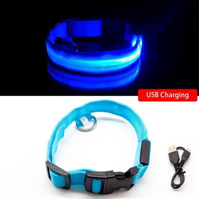 DogShineâ„?| LED collars for dogs