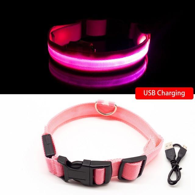 DogShineâ„?| LED collars for dogs