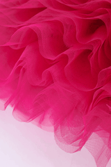 Tulle Tube Top