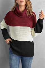 Turtleneck Color Block Pullover Sweater