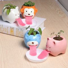 TC Bonsai- Self Watering Animal Planter 🐶 🐱