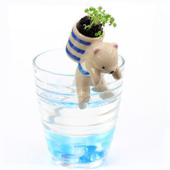 TC Bonsai- Self Watering Animal Planter 🐶 🐱