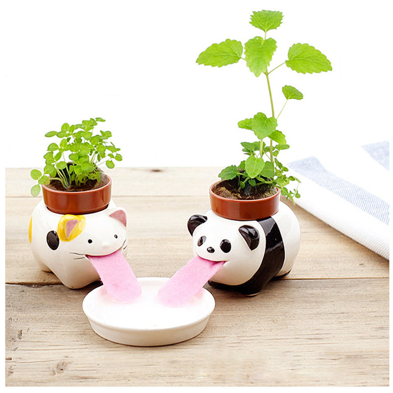 TC Bonsai- Self Watering Animal Planter 🐶 🐱
