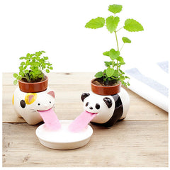 TC Bonsai- Self Watering Animal Planter 🐶 🐱