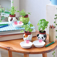TC Bonsai- Self Watering Animal Planter 🐶 🐱