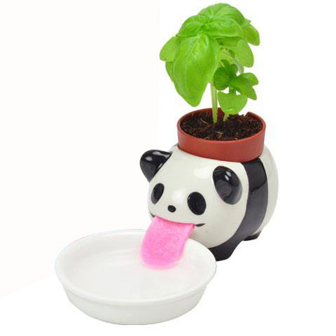 TC Bonsai- Self Watering Animal Planter 🐶 🐱