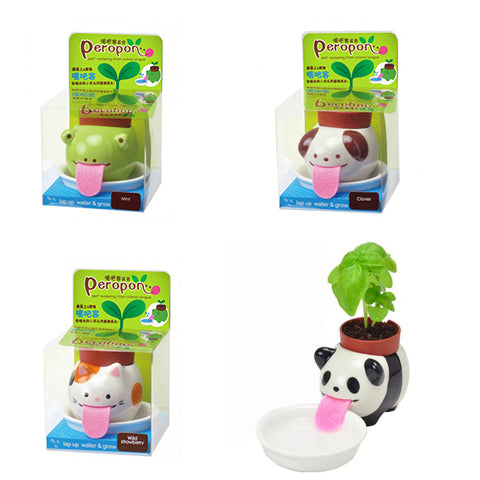 TC Bonsai- Self Watering Animal Planter 🐶 🐱